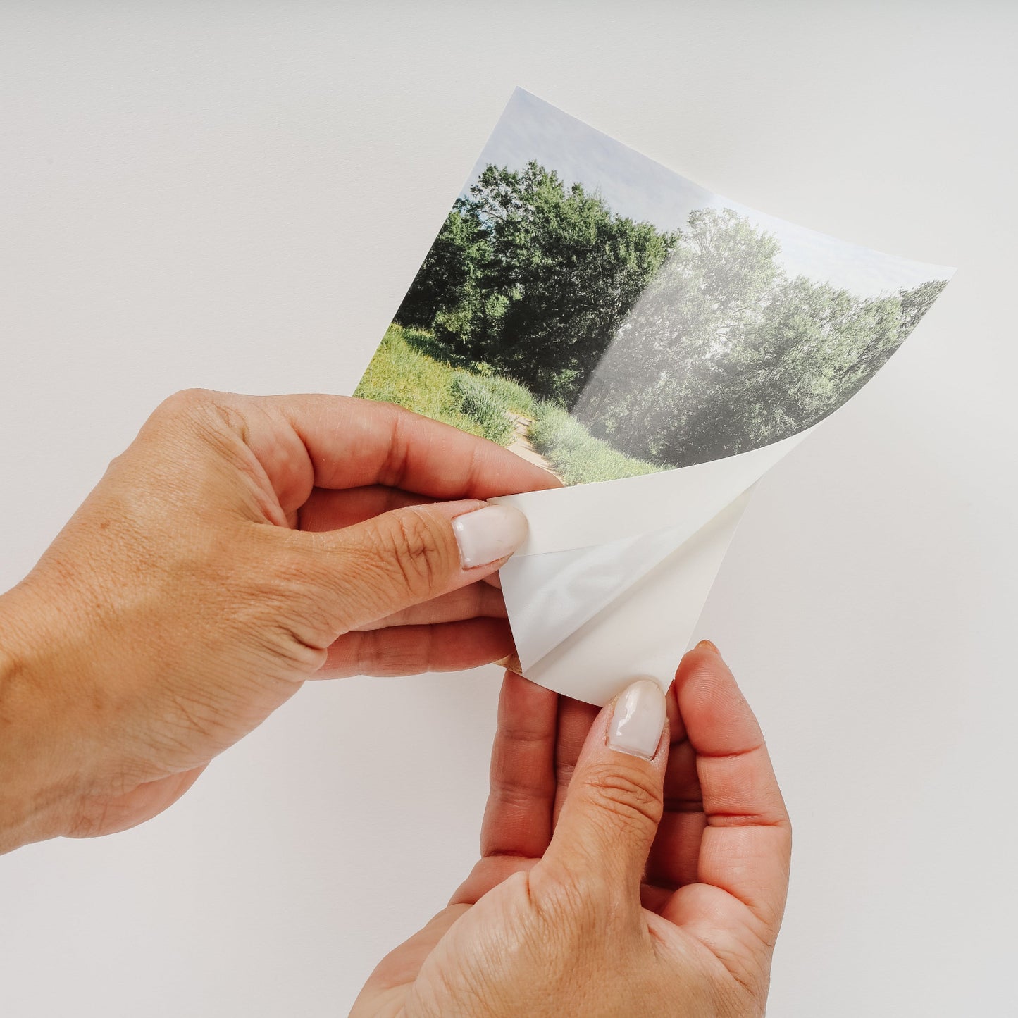 Sticky Prints - Bundle of 5